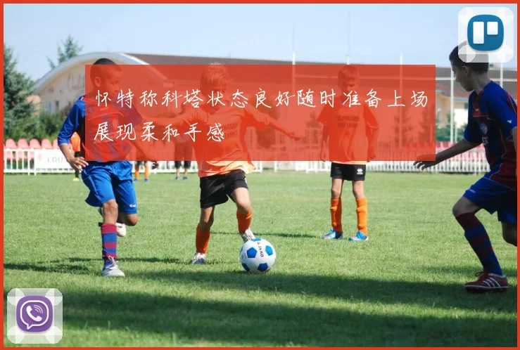怀特称科塔状态良好随时准备上场展现柔和手感