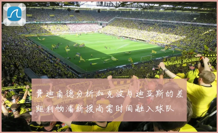 费迪南德分析加克波与迪亚斯的差距利物浦新援尚需时间融入球队