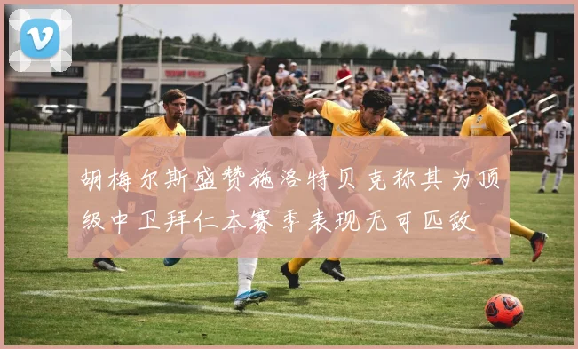 胡梅尔斯盛赞施洛特贝克称其为顶级中卫拜仁本赛季表现无可匹敌