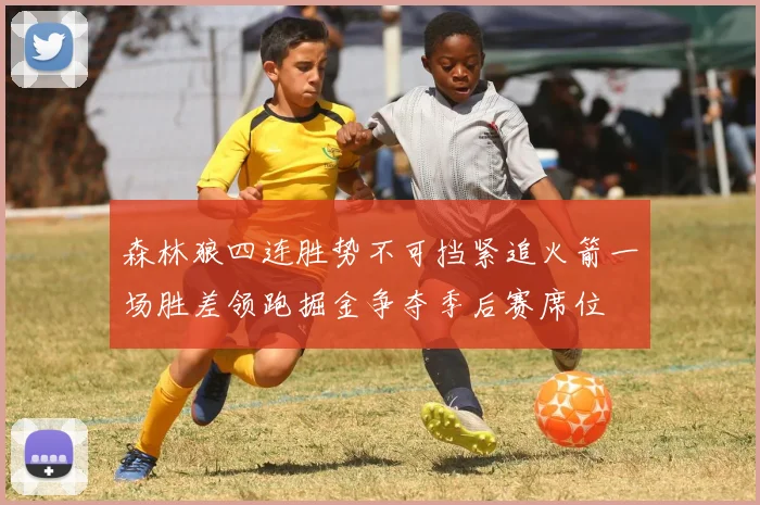 森林狼四连胜势不可挡紧追火箭一场胜差领跑掘金争夺季后赛席位