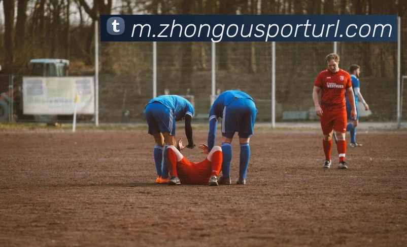 中欧体育发展历程